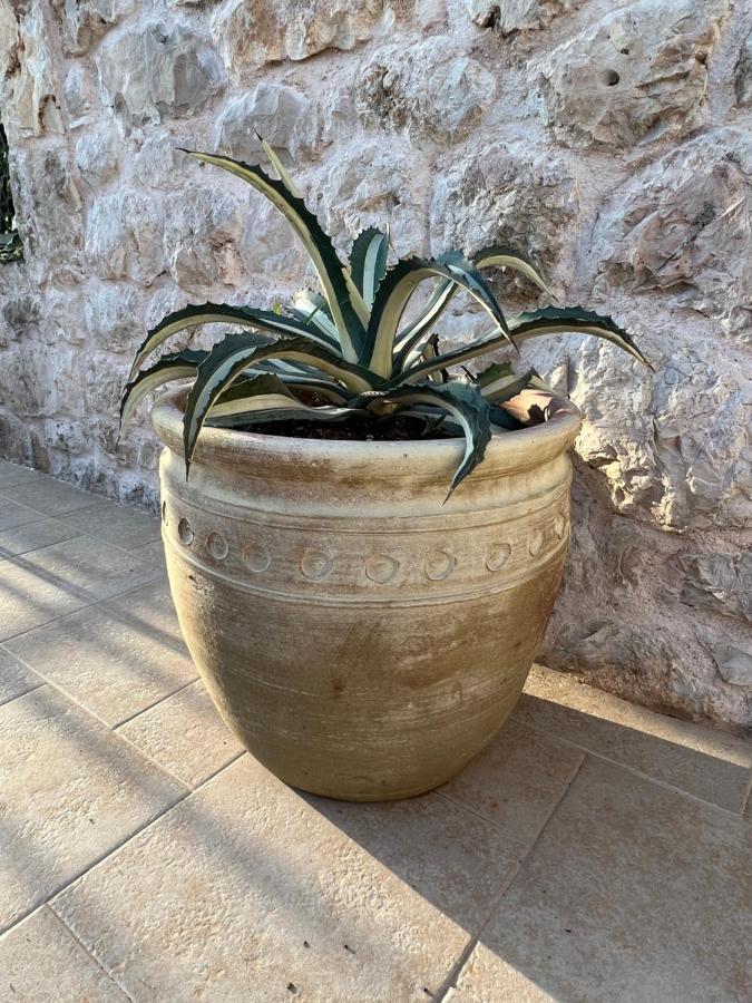 Jakov & Antonia Heritage Estate Hvar Town Zewnętrze zdjęcie